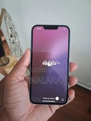 iPhone 13 Display