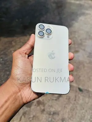 Apple iPhone 13 Pro Max (Used)