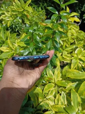 Vivo Y93 (Used)