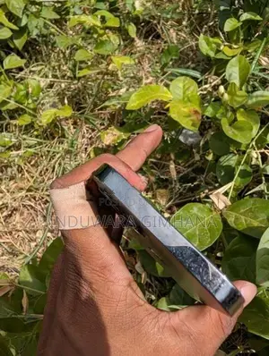 Apple iPhone 12 Pro I phone (Used)