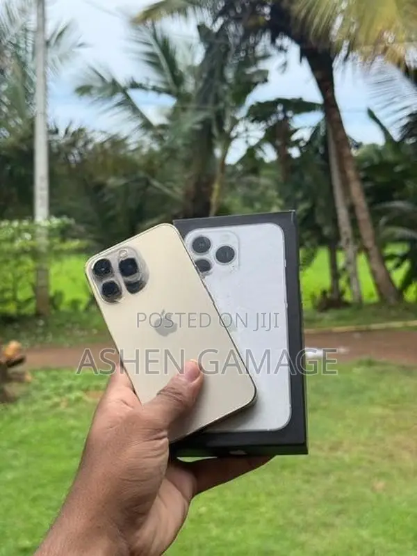 Apple iPhone 13 Pro (Used)