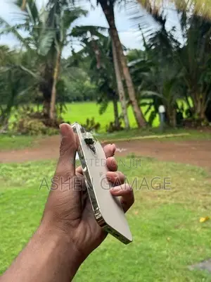 Apple iPhone 13 Pro (Used)