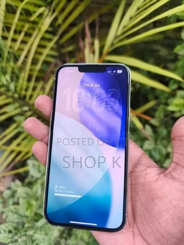 Apple iPhone 13 Pro (Used)