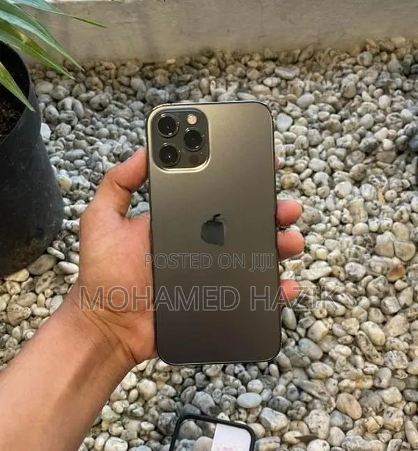 Apple iPhone 12 Pro Max (Used)