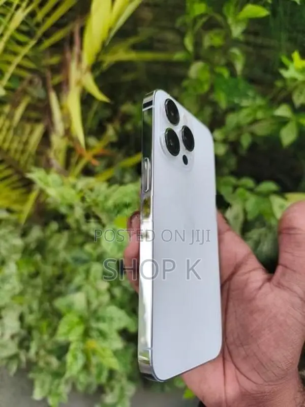 Apple iPhone 13 Pro (Used)