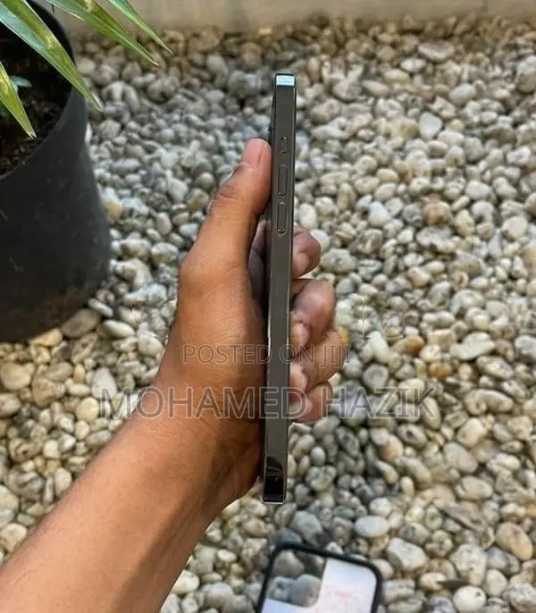 Apple iPhone 12 Pro Max (Used)