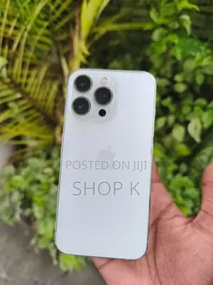 Apple iPhone 13 Pro (Used)
