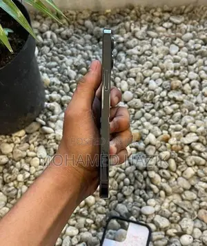 Apple iPhone 12 Pro Max (Used)