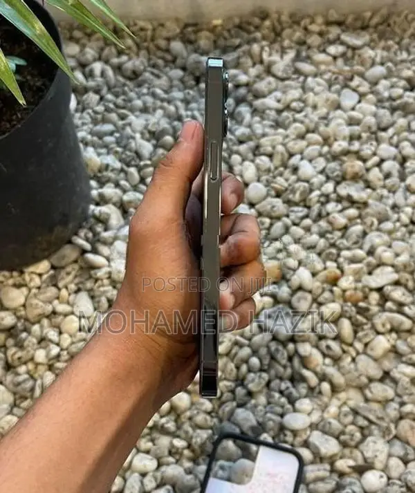 Apple iPhone 12 Pro Max (Used)