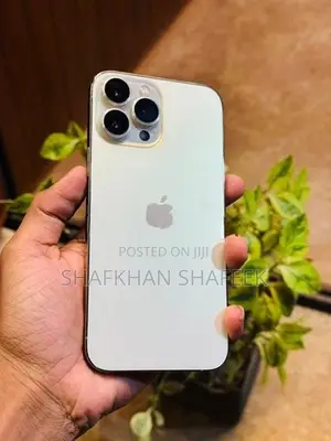Apple iPhone 13 Pro Max (Used)