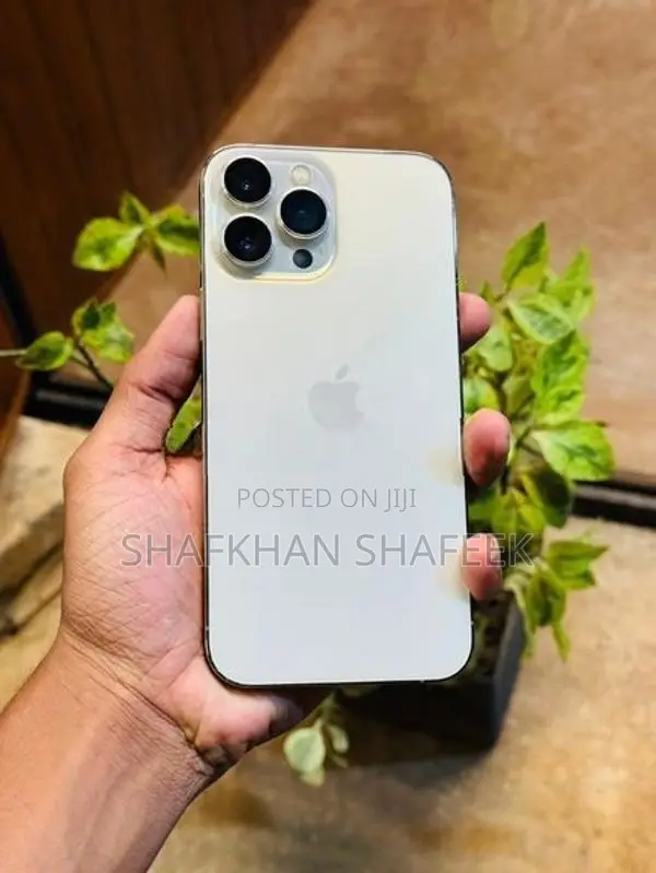 Apple iPhone 13 Pro Max (Used)