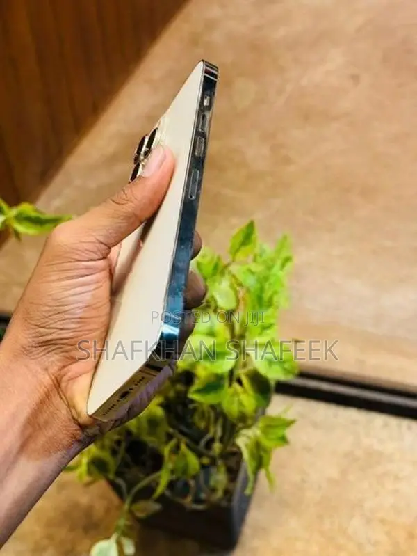 Apple iPhone 13 Pro Max (Used)