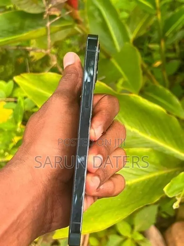 Apple iPhone 12 Pro (Used)