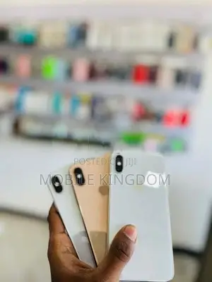 Apple iPhone XS Max 256GB Fullset (Used)