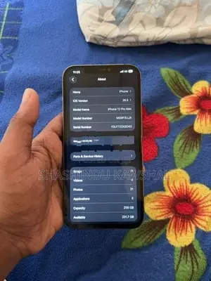 Apple iPhone 12 Pro Max (Used)