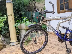 Lumala Bicycle