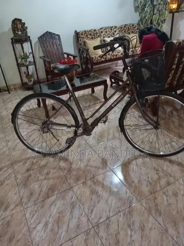 Japan Maruishi bicycle