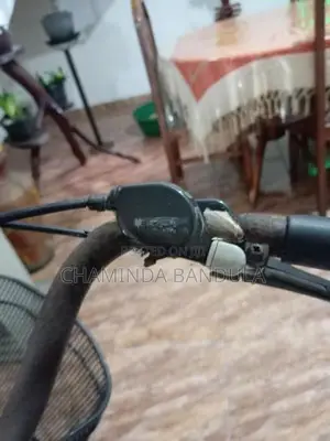 Japan Maruishi bicycle