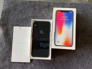 Apple iPhone X 256GB (Used)
