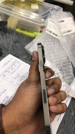 Apple iPhone 13 Pro Max (Used)
