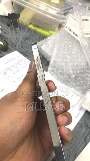 Apple iPhone 13 Pro Max (Used)