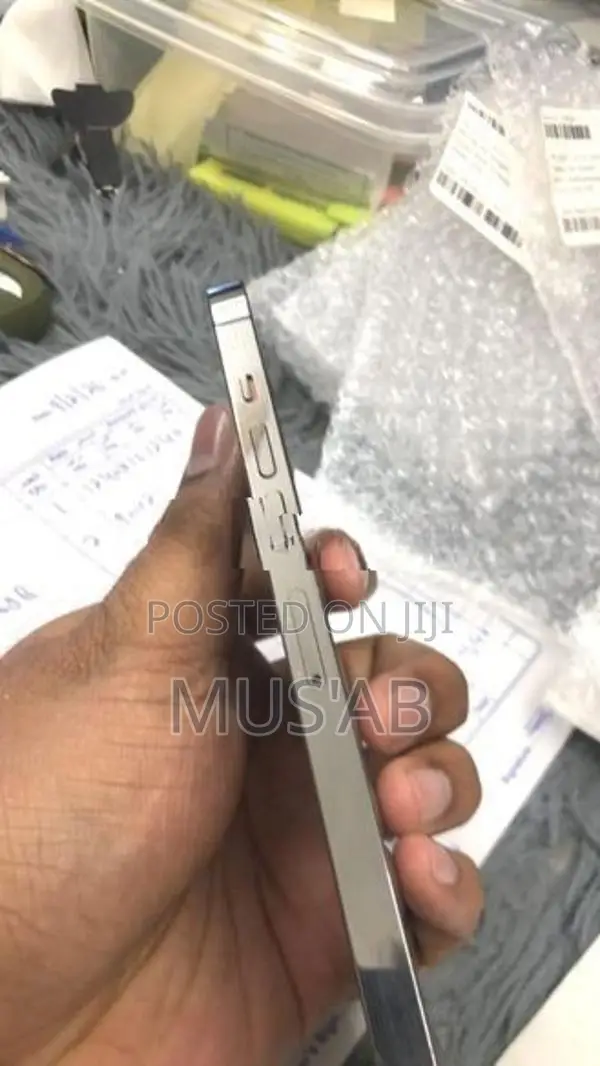 Apple iPhone 13 Pro Max (Used)