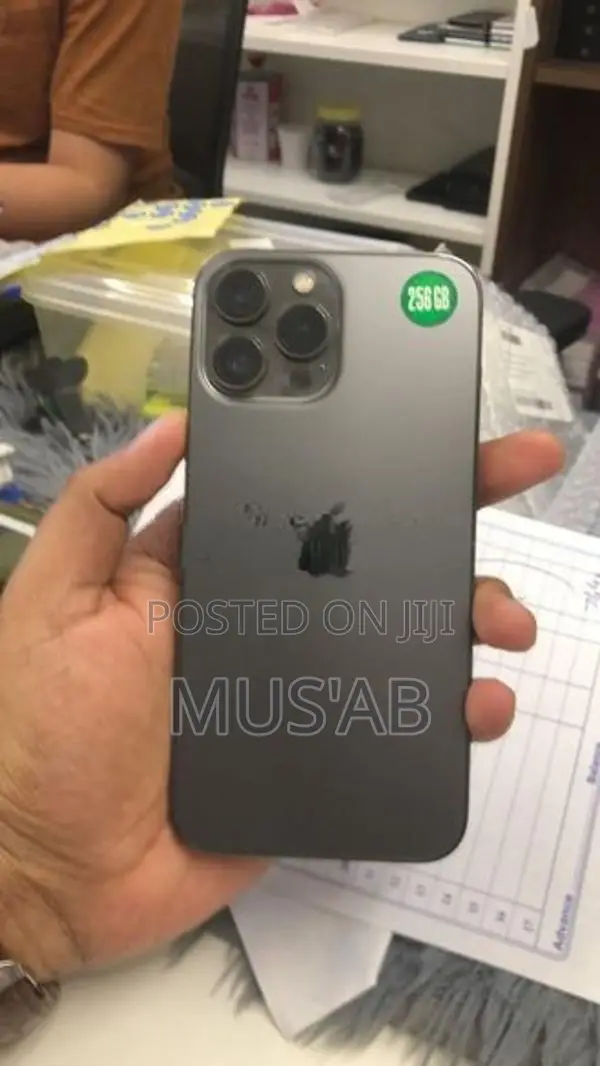Apple iPhone 13 Pro Max (Used)