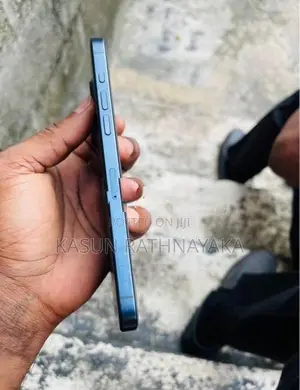 Apple iPhone 15 Pro Max (Used)