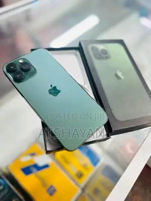 Apple iPhone 13 Pro Max (Used)
