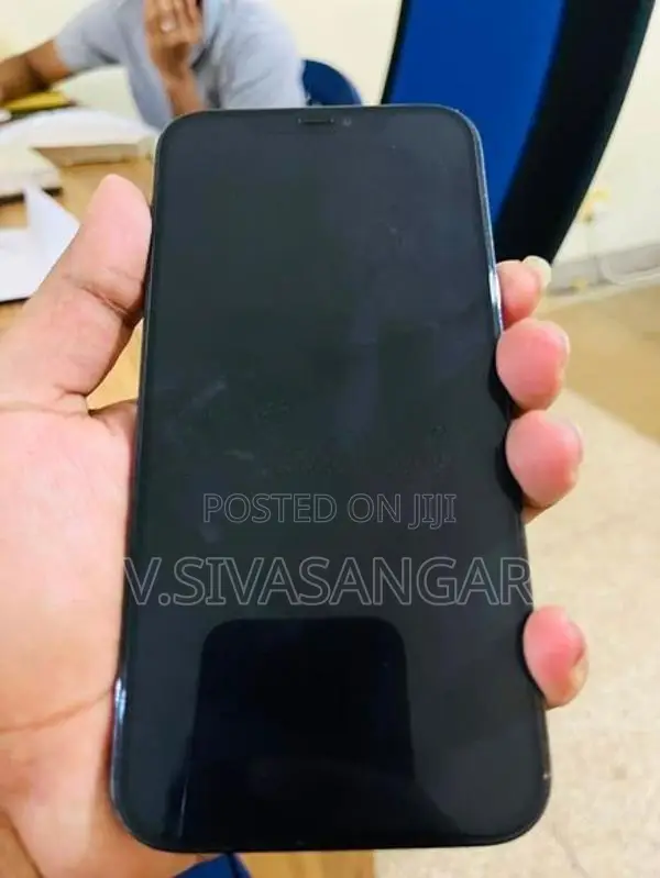 Apple iPhone 12 Pro Max (Used)