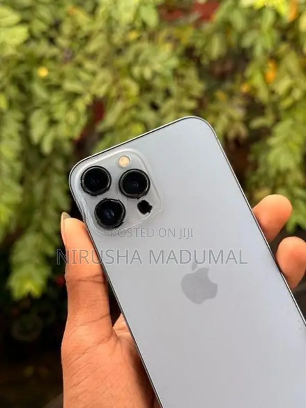 Apple iPhone 13 Pro Max (Used)