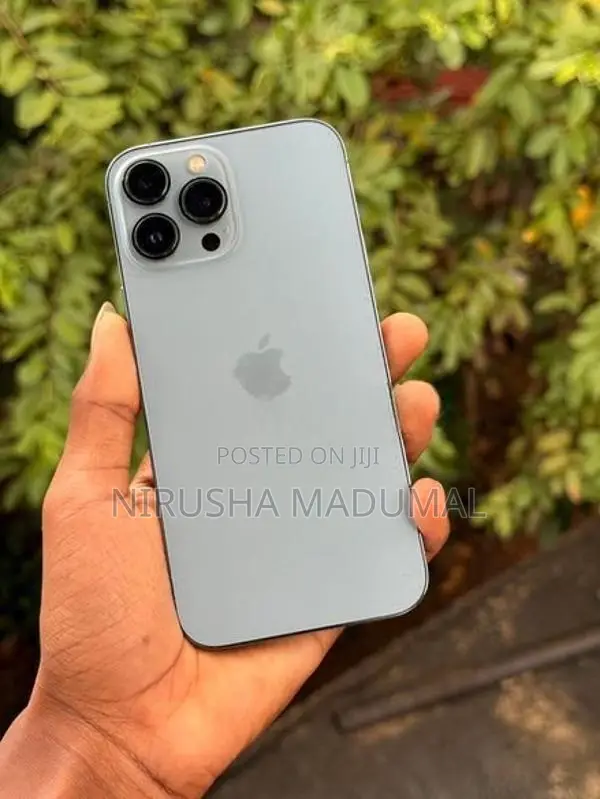 Apple iPhone 13 Pro Max (Used)