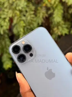 Apple iPhone 13 Pro Max (Used)
