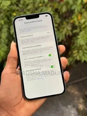 Apple iPhone 13 Pro Max (Used)