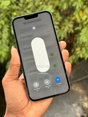 Apple iPhone 13 Pro Max (Used)
