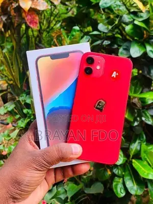 Apple iPhone 12 (Used)