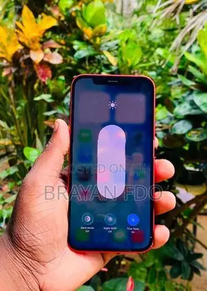 Apple iPhone 12 (Used)
