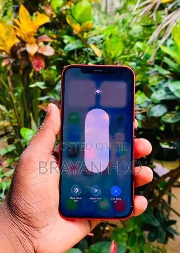 Apple iPhone 12 (Used)