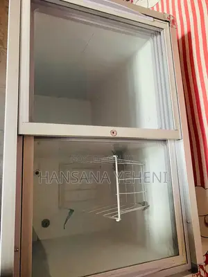 Singer Deep Freezer