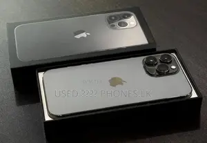 Apple iPhone 13 Pro Max 128GB (Used)