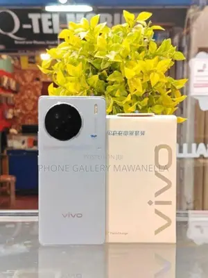 Vivo X90 256GB (Used)