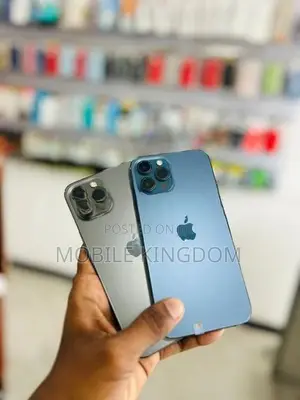 Apple iPhone 12 Pro Max 256GB Fullset (Used)