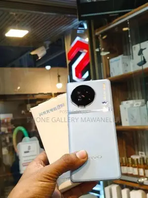 Vivo X90 256GB (Used)