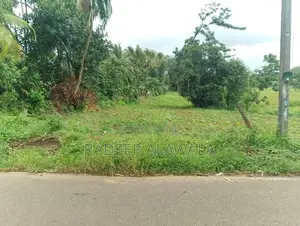 කිරිඳිවැල අවටින් වටිනා ඉඩමක් විකිණීමට
