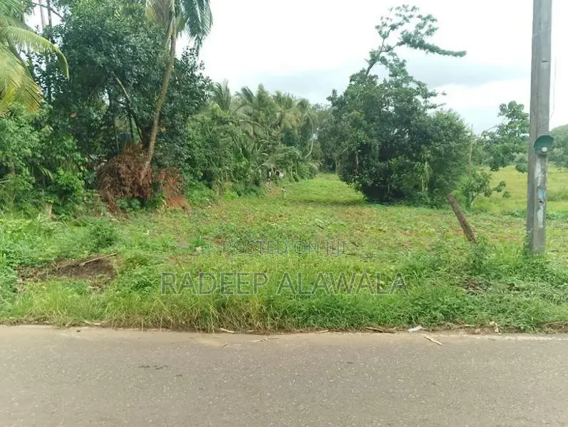 කිරිඳිවැල අවටින් වටිනා ඉඩමක් විකිණීමට