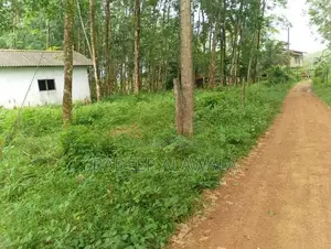 කිරිඳිවැල අවටින් වටිනා ඉඩමක් විකිණීමට