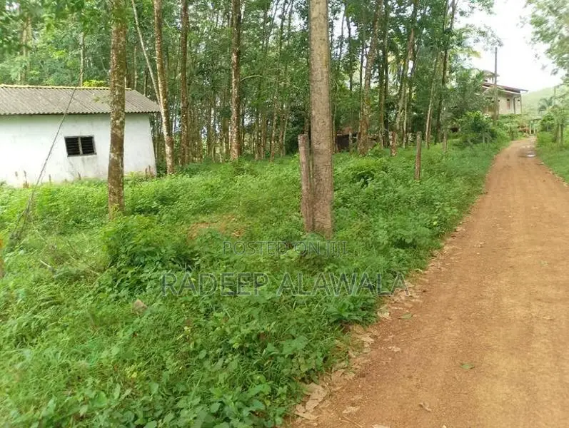 කිරිඳිවැල අවටින් වටිනා ඉඩමක් විකිණීමට