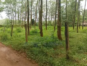 කිරිඳිවැල අවටින් වටිනා ඉඩමක් විකිණීමට