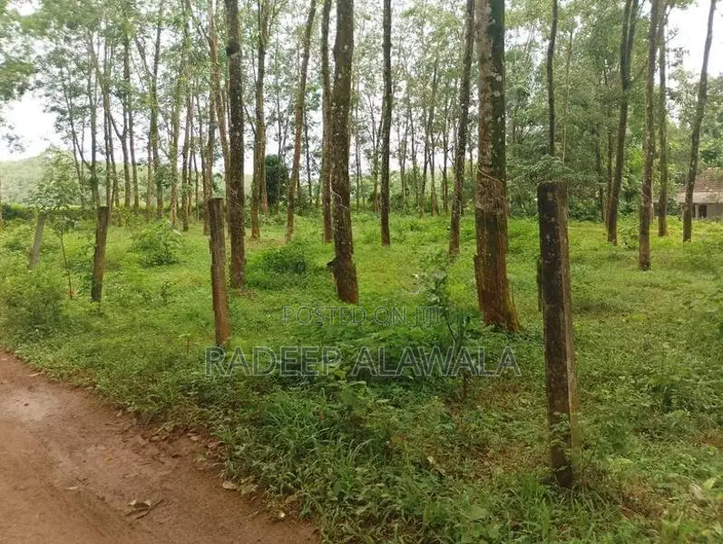 කිරිඳිවැල අවටින් වටිනා ඉඩමක් විකිණීමට