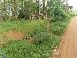 කිරිඳිවැල අවටින් වටිනා ඉඩමක් විකිණීමට